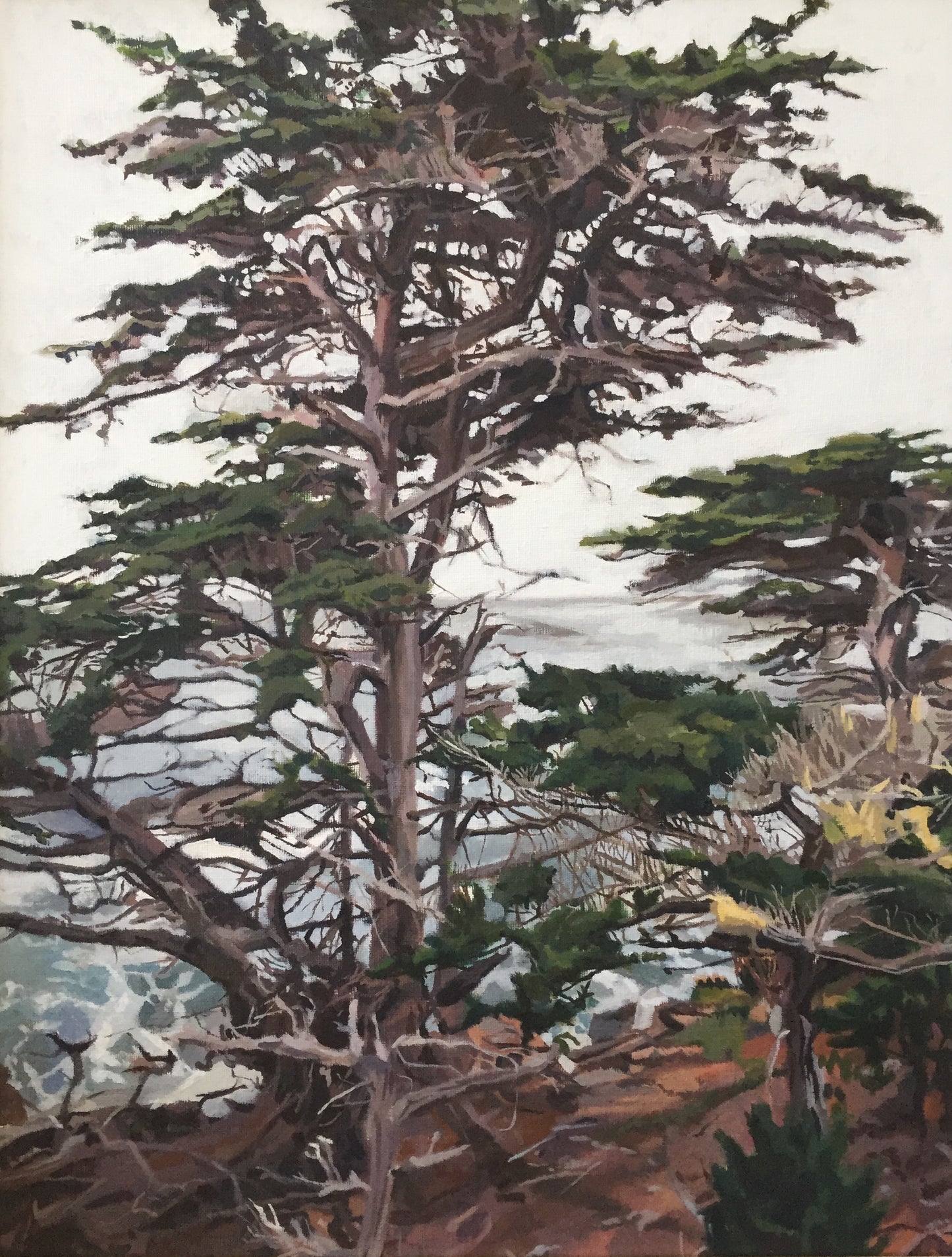 Cypress- 22"x18"